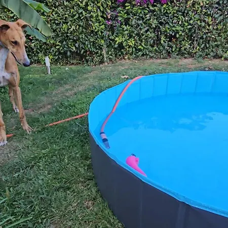 Casavacanze Nichi Vista Mare Grottammare