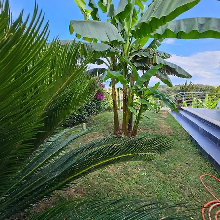 Casavacanze Nichi Vista Mare Appartement